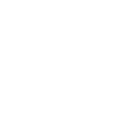 Exhaust System